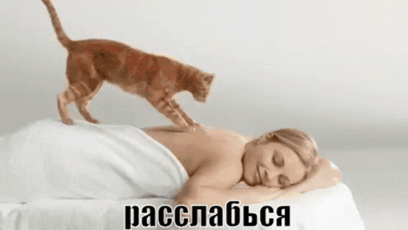 cat massage